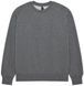 Кофта FOX Sweatshirt - MOTO-X [Graphite], L