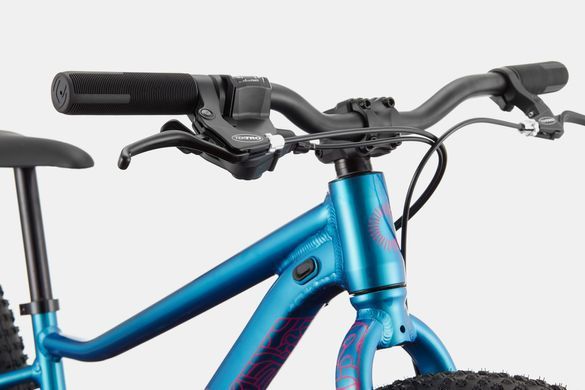 Велосипед 24" Cannondale TRAIL Plus OS DTE A5